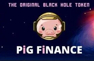 pig币哪里下载 pig币干什么用的