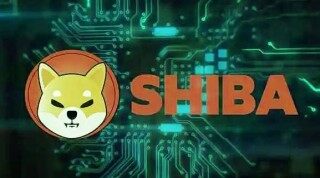 屎币什么哪下载 shi币交易平台下载软件最新