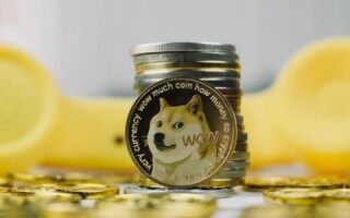 狗狗迷路了还会回来吗(狗狗币还会涨回来吗)
