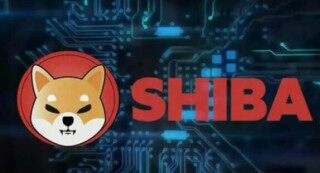 2022年有人收维卡币吗(2022年维卡币商城）