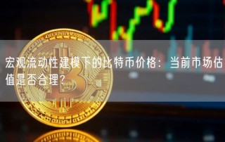 宏观流动性建模下的比特币价格:当前市场估值是否合理?