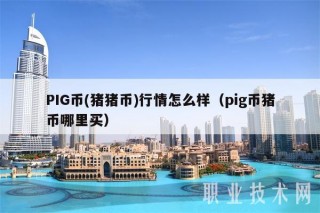 PIG币 - 猪猪币行情怎么样(pig币猪币哪里买
