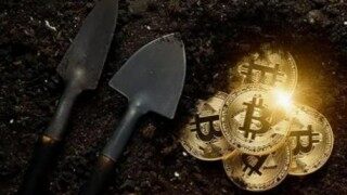 fil币今日暴跌的最新消息(今日fil币价格)