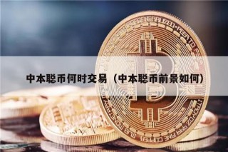 中本聪币何时交易(中本聪币前景如何)