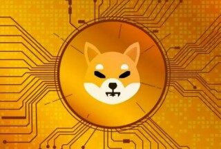 柴犬币最新消息(柴犬币最新消息销毁)