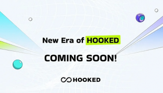HOOK 代币展望:潜力巨大的百倍项目!