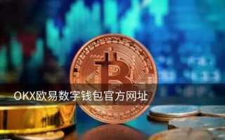 国外炒币用什么平台|比特币最大的交易平台