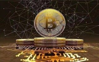 2024 年加密趋势报告:行业专家谈 ETF、减半、AI……