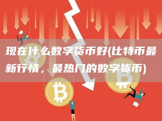 现在什么数字货币好 - 比特币最新行情,最热门的数字货币